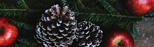 Christmas 2018 Hoddington Arms
