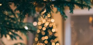 christmas at hoddington arms 2019