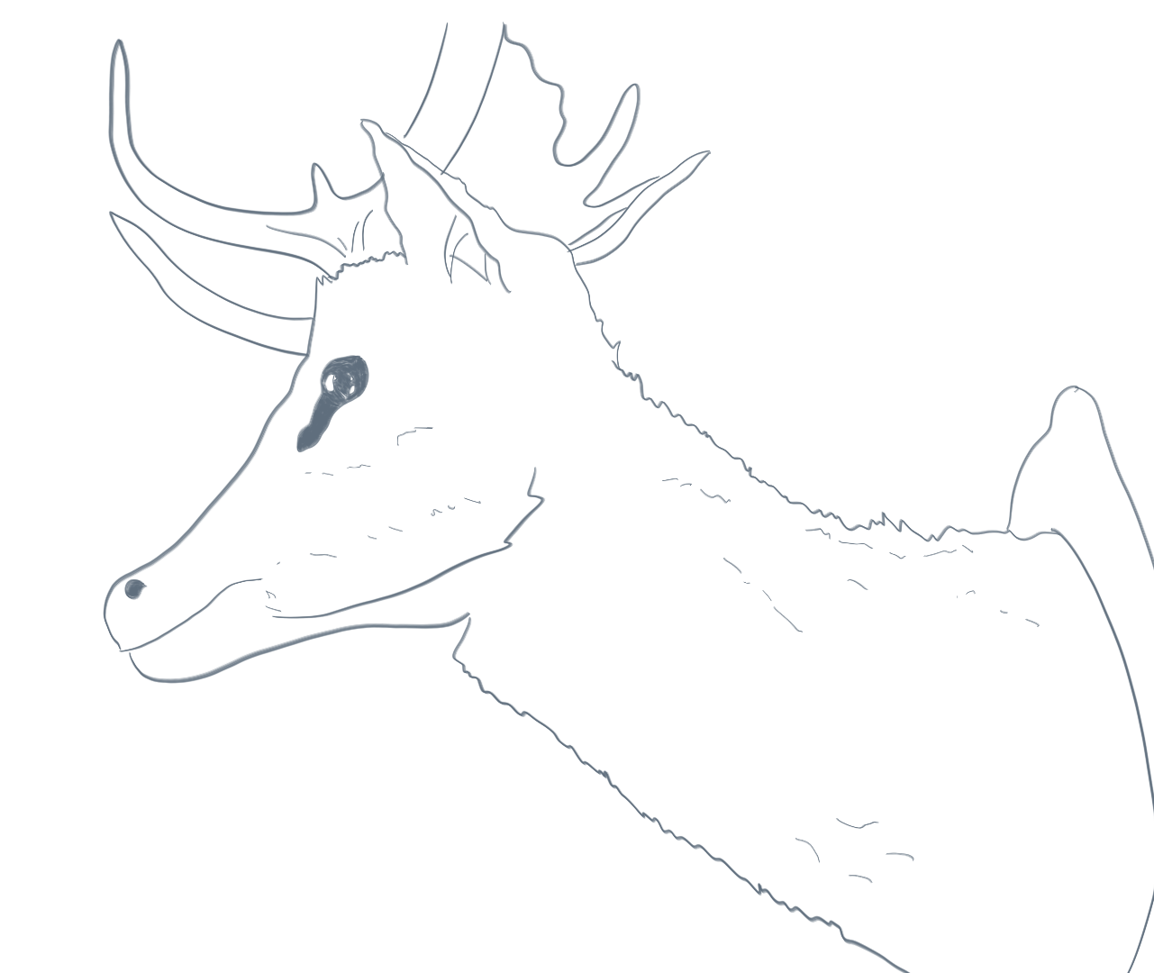 The Hoddington Arms - Our Upcoming Events